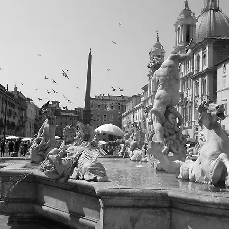 Hotel Navona